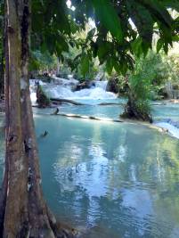 Luang Prabang- Tad Kuang Si Wasserfall 08